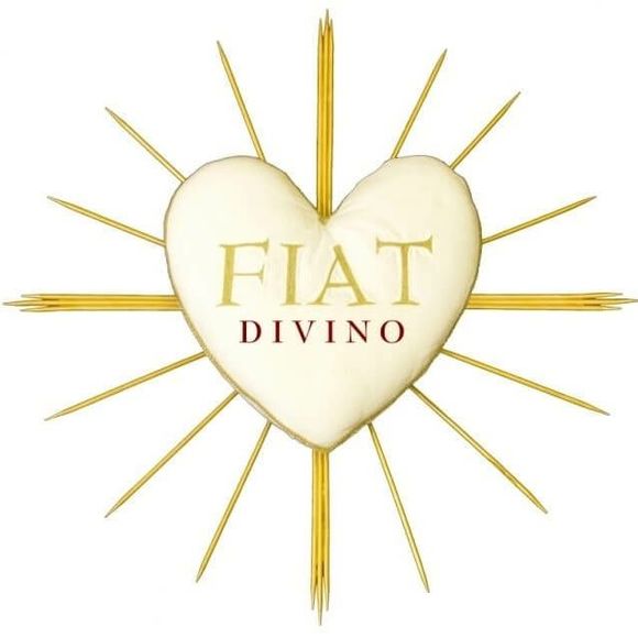 Meet your Posher, Graciela - Picture 1 of 1